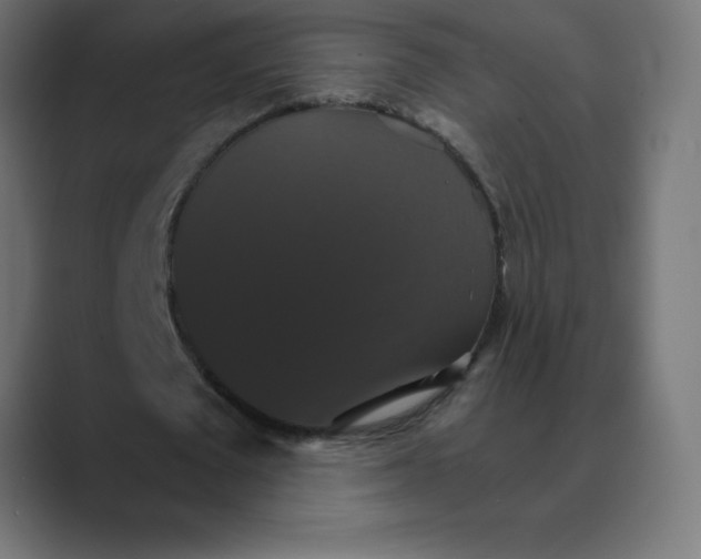 X0000088470673200706191348