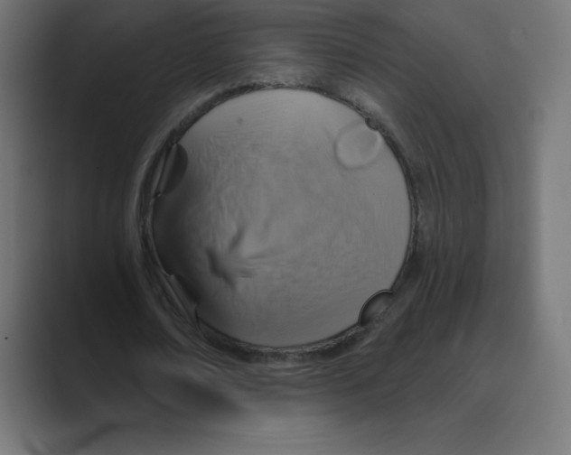 X0000088470674200706191348