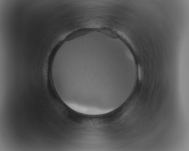 X0000088470675200706191348