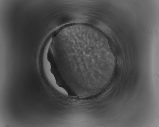 X0000088470676200706191348