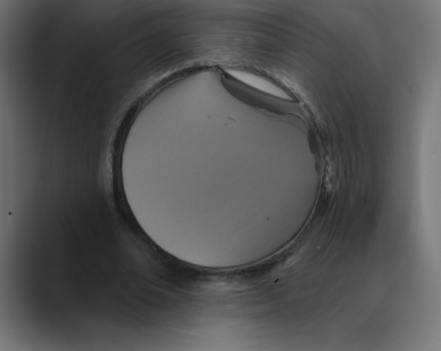 X0000088470678200706191348