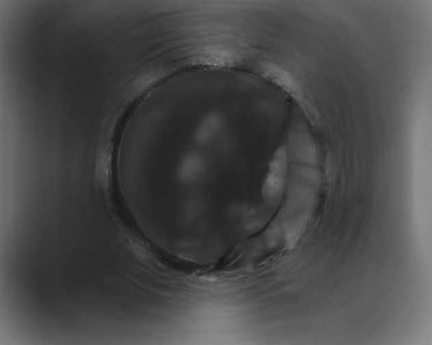 X0000088470679200706191348