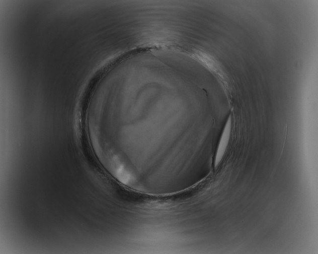 X0000088470680200706191348