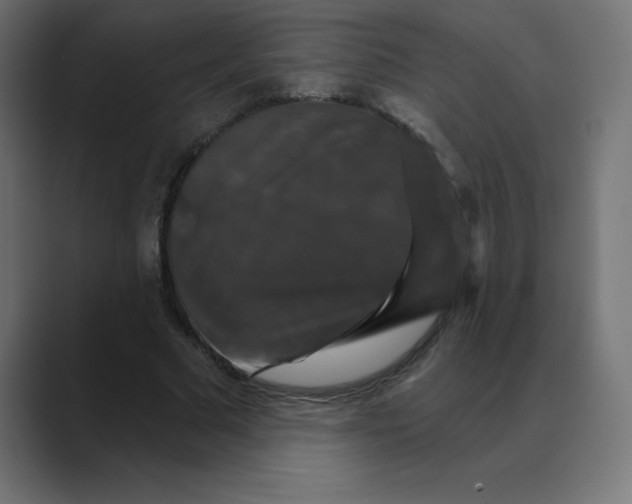 X0000088470681200706191348