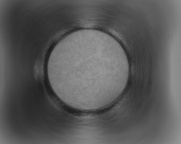 X0000088470682200706191348