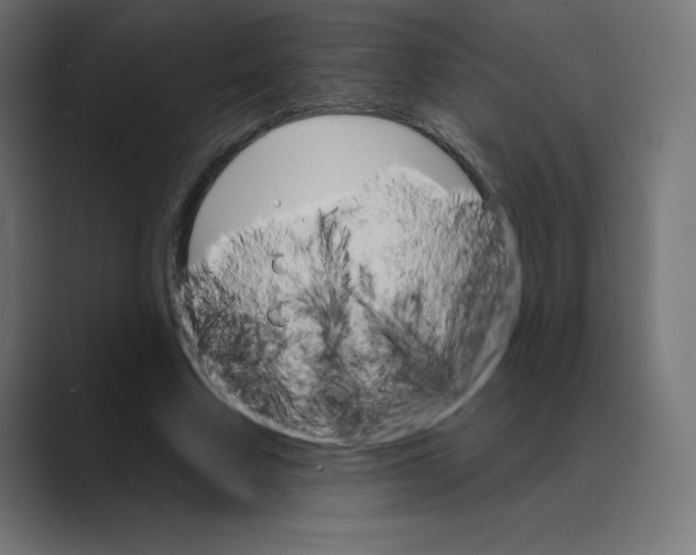 X0000088470683200706191348