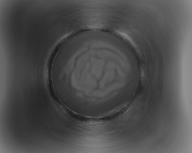 X0000088470684200706191348