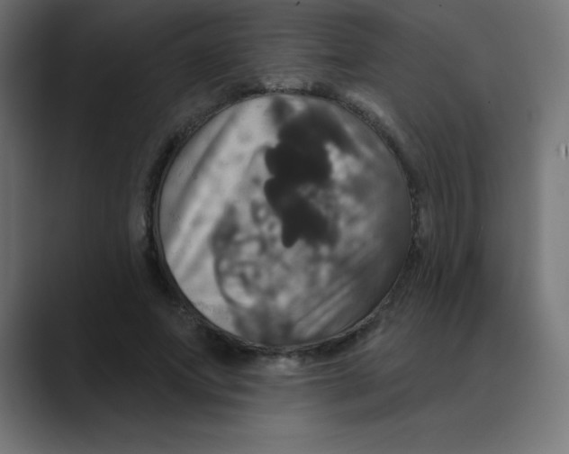 X0000088470687200706191348