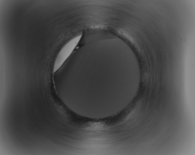 X0000088470689200706191348