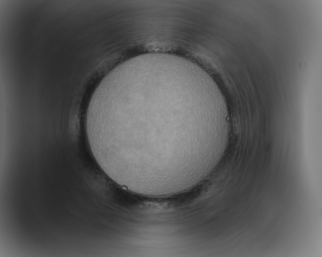 X0000088470690200706191348