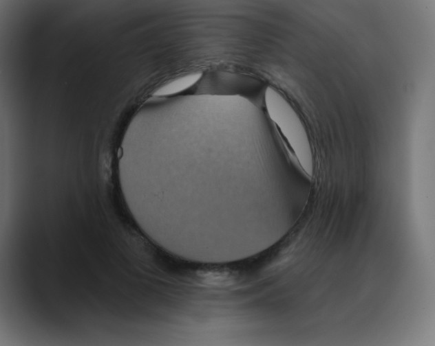 X0000088470693200706191348