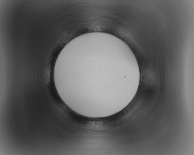 X0000088470694200706191348