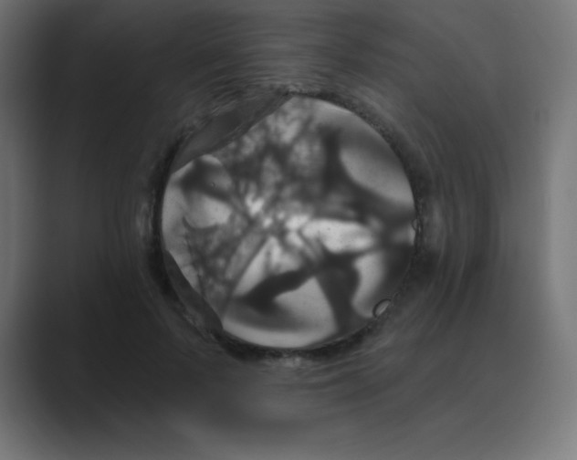 X0000088470695200706191348