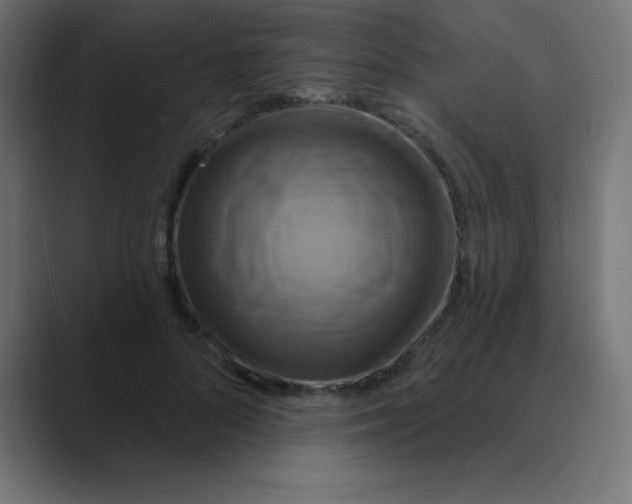 X0000088470696200706191348