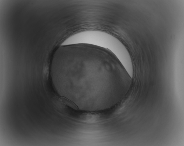 X0000088470697200706191348