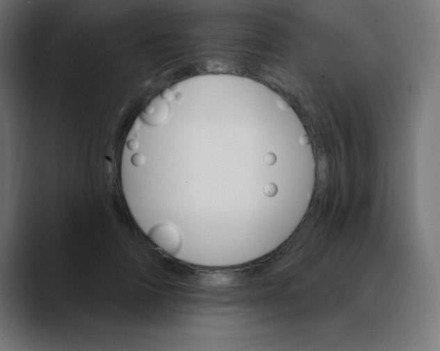 X0000088470698200706191348