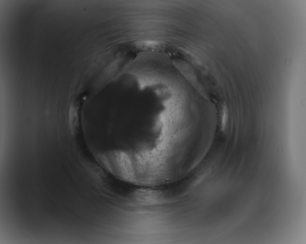 X0000088470699200706191348