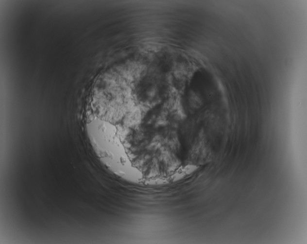 X0000088470703200706191348