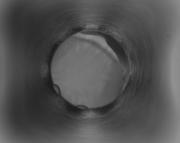 X0000088470704200706191348