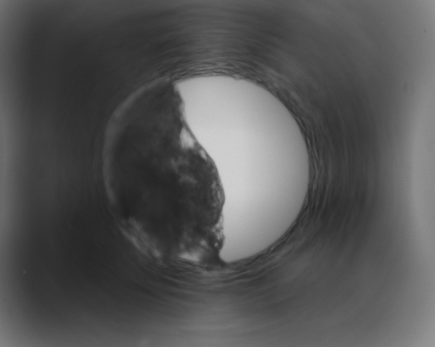 X0000088470707200706191348