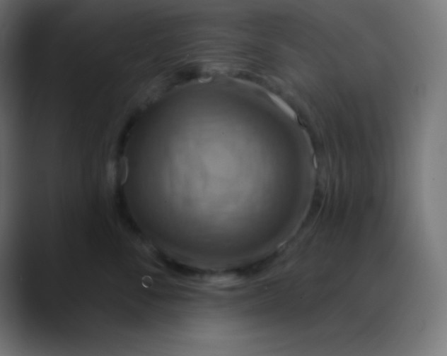 X0000088470716200706191348