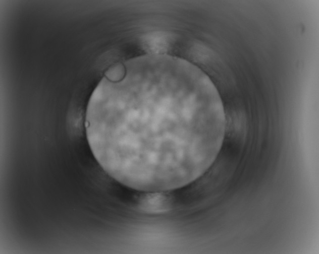 X0000088470717200706191348