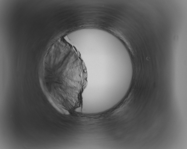 X0000088470721200706191347