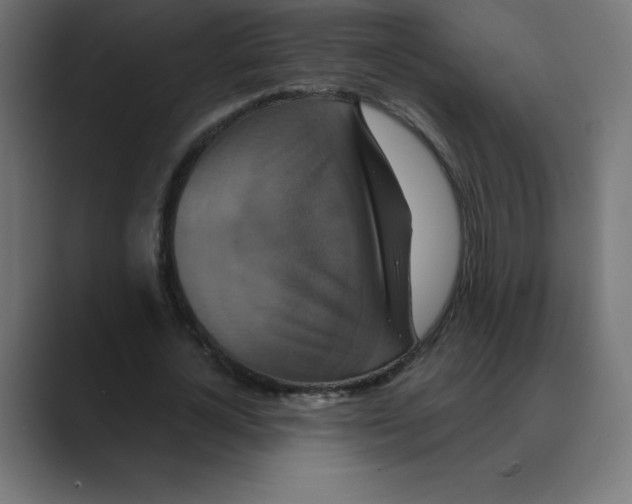 X0000088470724200706191347