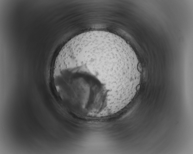 X0000088470725200706191347