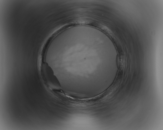 X0000088470726200706191347