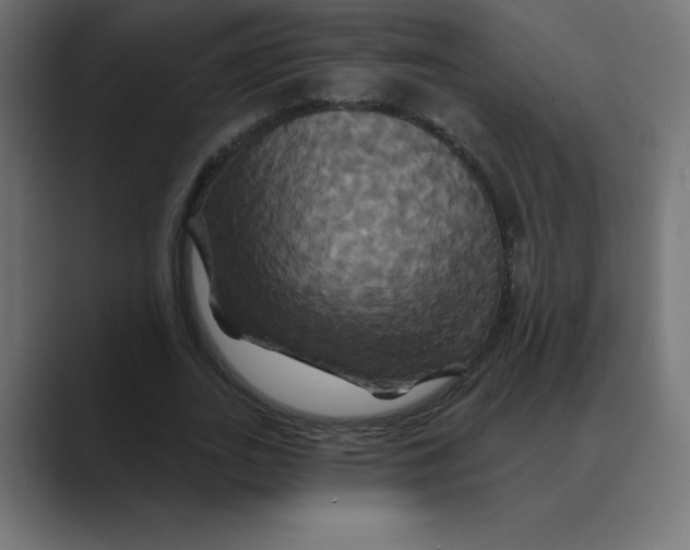 X0000088470727200706191347