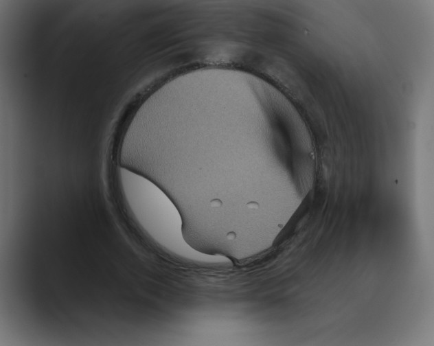 X0000088470728200706191347