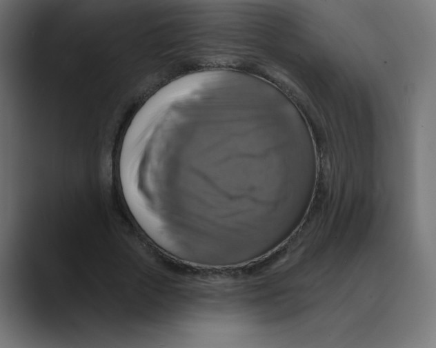 X0000088470729200706191347