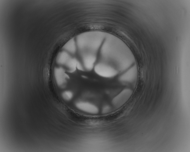 X0000088470733200706191347