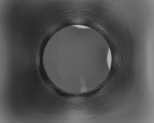 X0000088470734200706191347