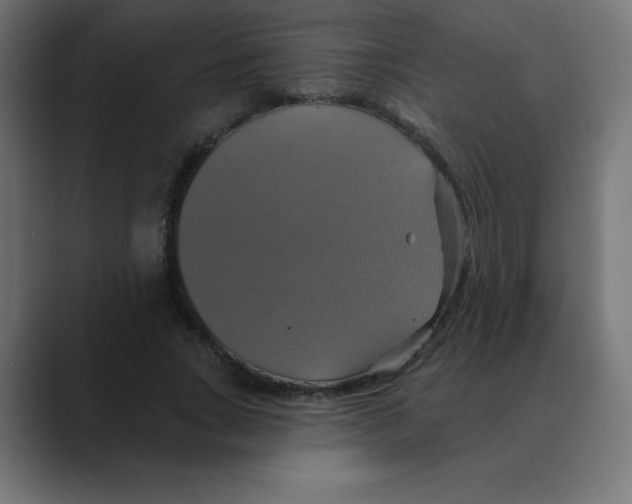 X0000088470735200706191347