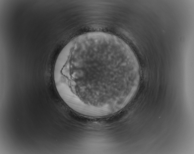 X0000088470737200706191347