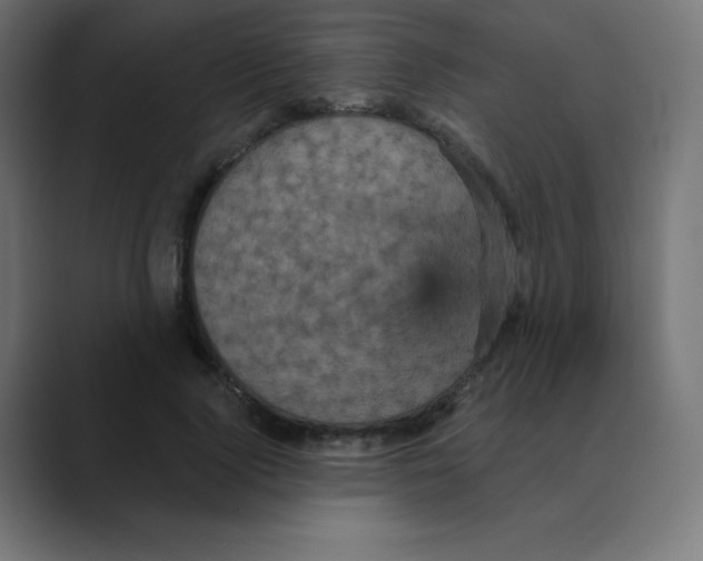 X0000088470740200706191347