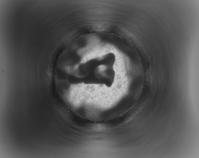 X0000088470741200706191347