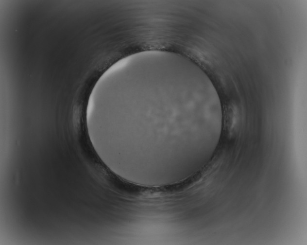 X0000088470742200706191347