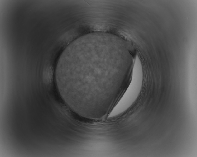 X0000088470744200706191348