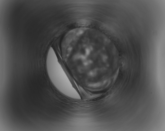 X0000088470745200706191348