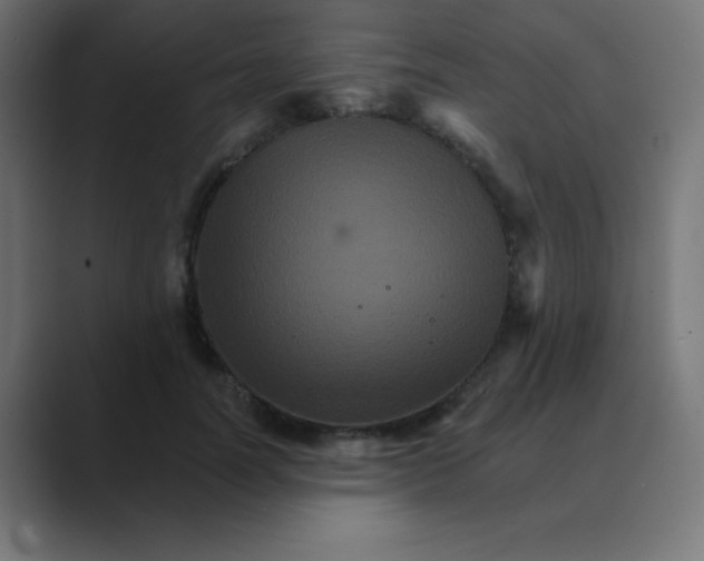 X0000088470746200706191348