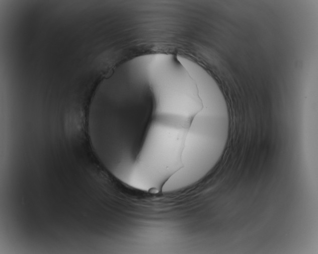 X0000088470748200706191348