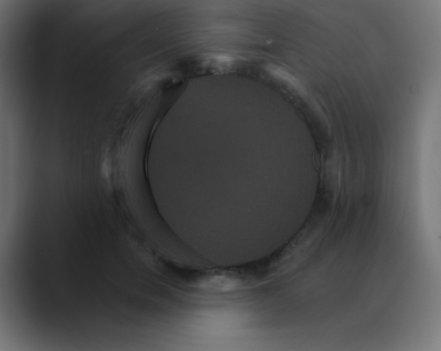 X0000088470750200706191348