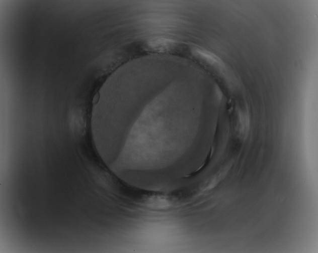 X0000088470751200706191348