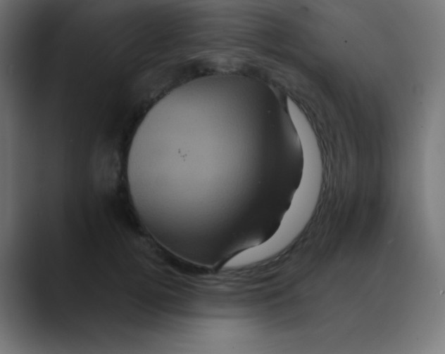 X0000088470752200706191348