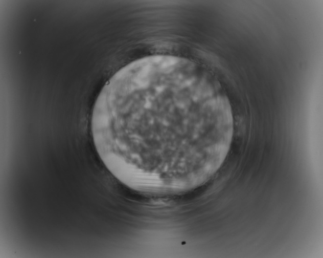 X0000088470753200706191348