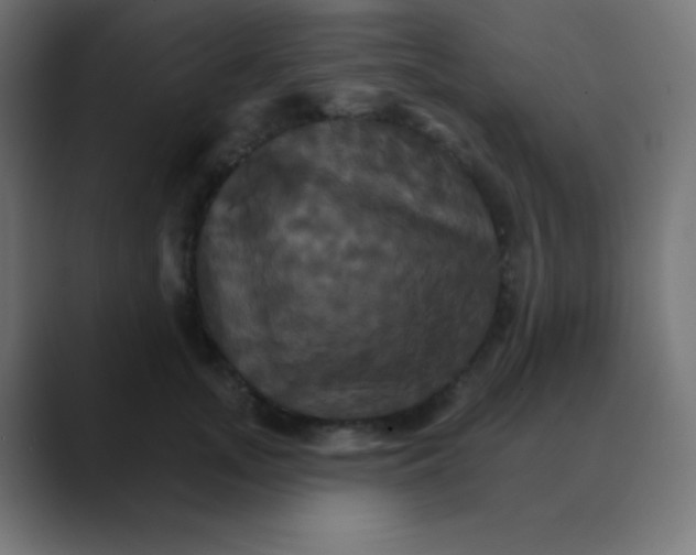 X0000088470755200706191348