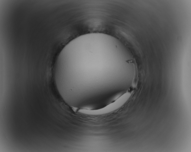 X0000088470756200706191348